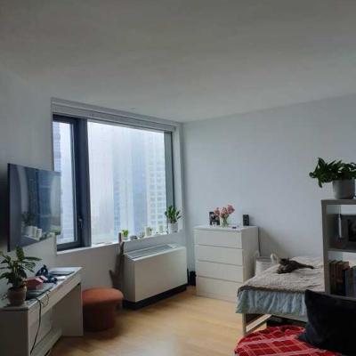 Downtown Brooklyn Studio Apartment