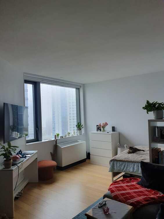 Downtown Brooklyn Studio Apartment