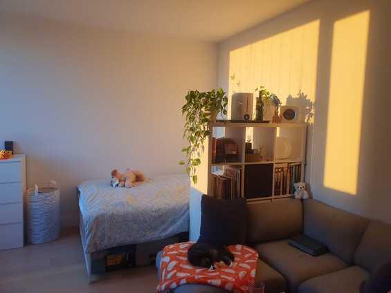 Downtown Brooklyn Studio Apartment