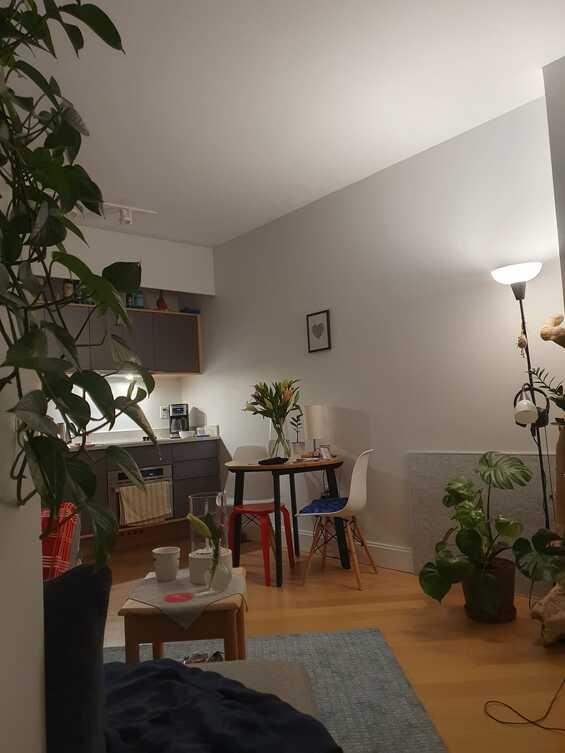 Downtown Brooklyn Studio Apartment